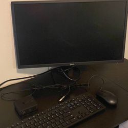 Dell Dual Monitor 