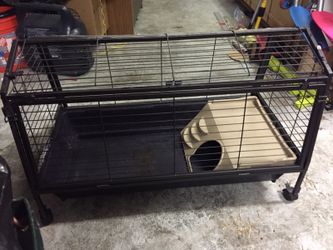 Oxbow guinea pig dwarf shop rabbit habitat with play yard