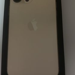 iphone 13 pro max 1TB