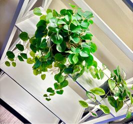 Two artificial plants