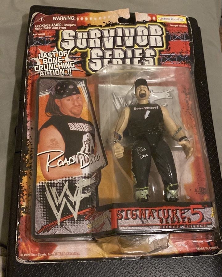 WWE action figure
