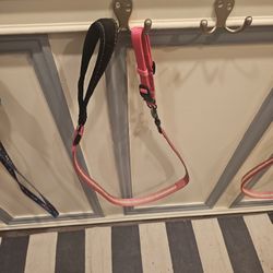 Light Up Dog Leashes