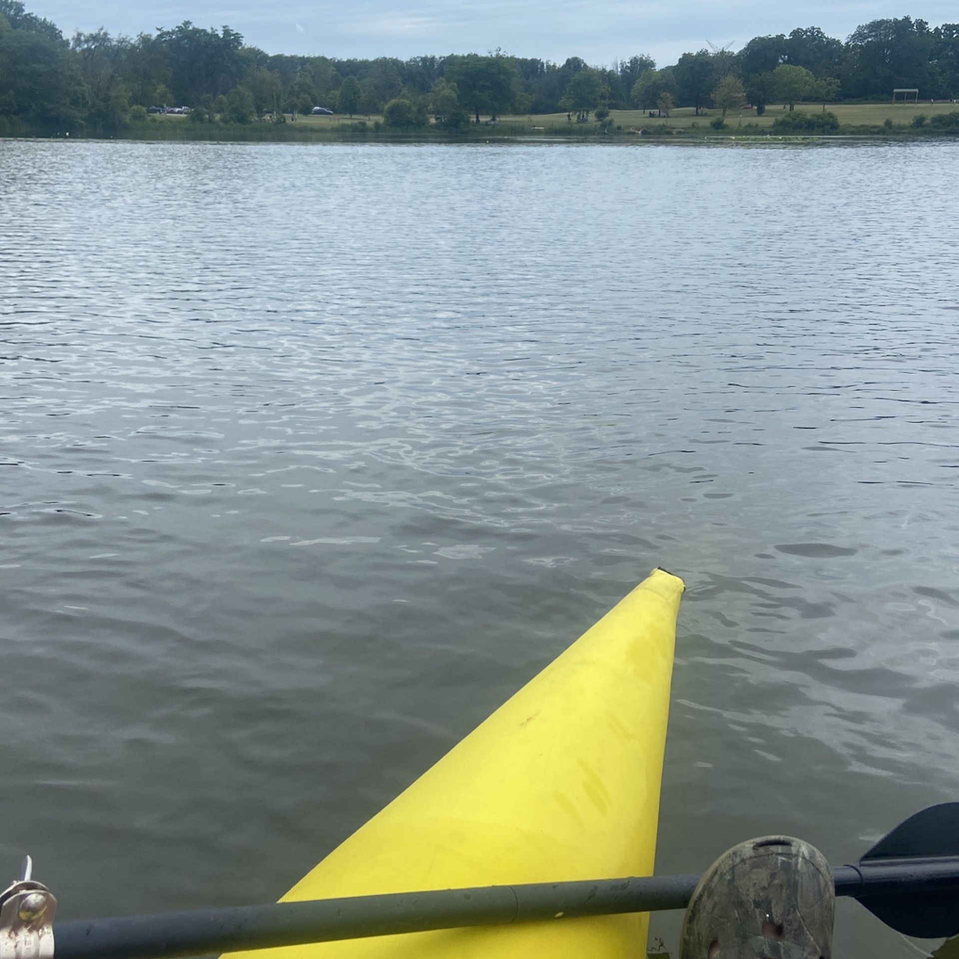 Pantoon Boat