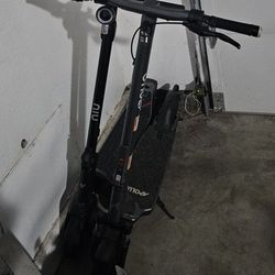 Electric Scooters