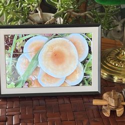 10.1-inch digital photo frame with 32GB storage space. The digital photo frame comes with a 1280x800 IPS touch screen. Share photos/videos and send bl