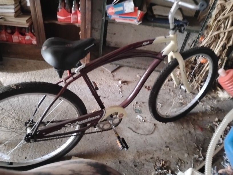 2007 Schwinn Fleet Bicycle