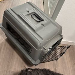 Dog Kennel 