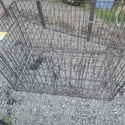 Dog Cages