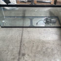 Fish Tank/ Aquarium 