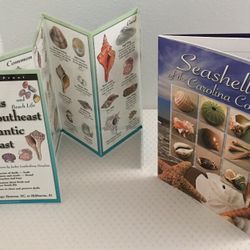 Seashell Guides