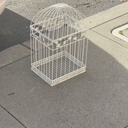 Bird Cage