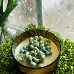 Handmade Succulent Terrarium Garden Candle