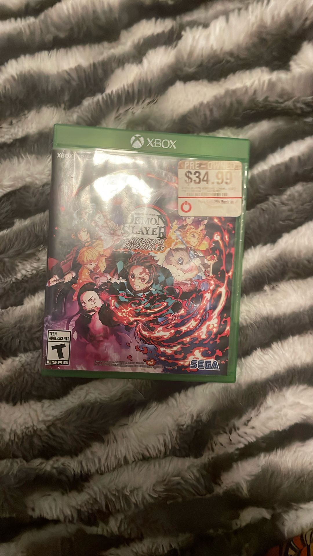 Demon slayer video game