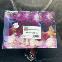Multi-colored Orchid