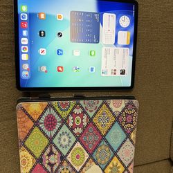 iPad Pro 12.9” , 4th Generation,  512gb, WIFI + Cellular. ( unlocked) 100% battery life