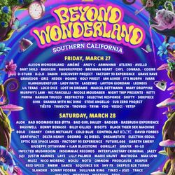 VIP BEYOND WONDERLAND WRISTBAND