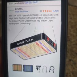 Bestva Lights (5 total)