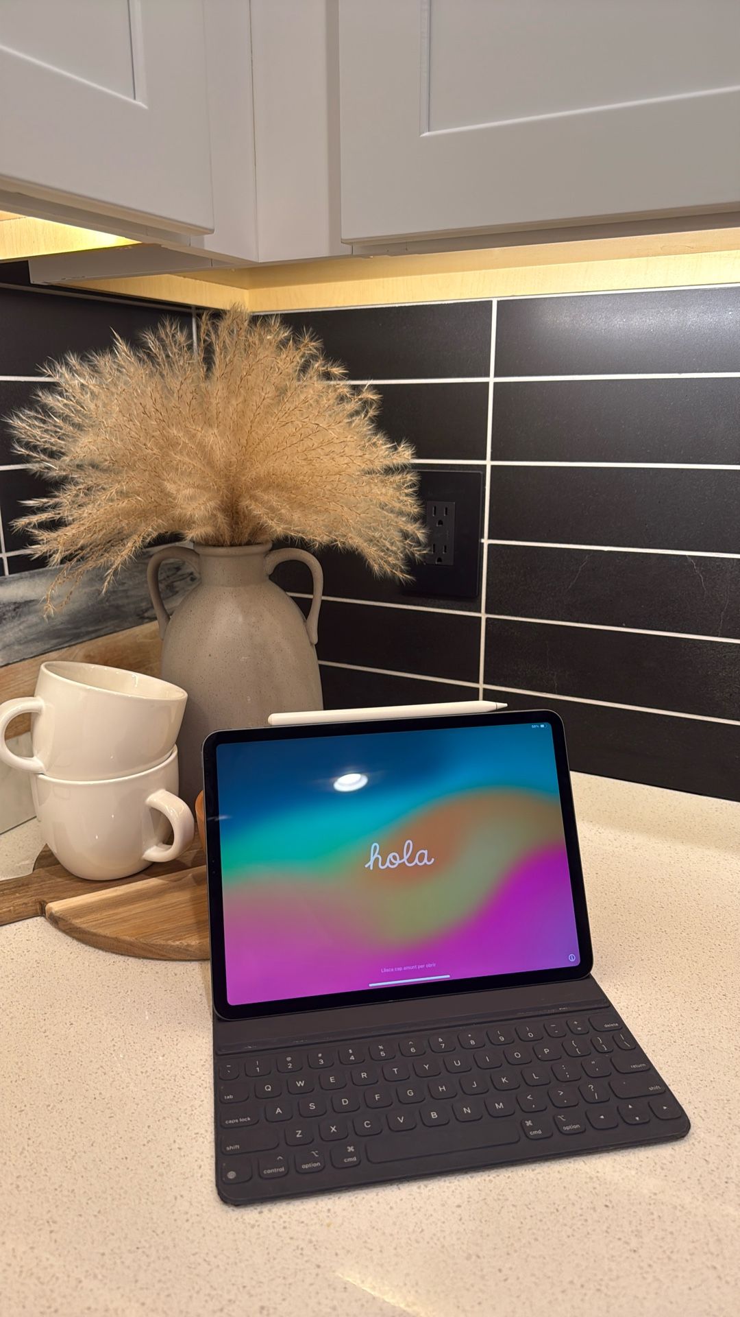 iPad Pro 11 Inch 64GB (2019 Model)