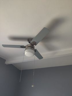 Ceiling Fans (I Have 2)