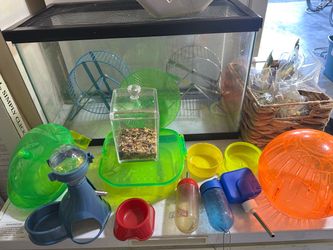 Hamster 🐹 stuff