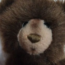 Steiff Teddy Bear.  8 Inches Tall.  Original.