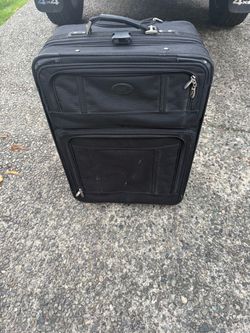 Large checked luggage