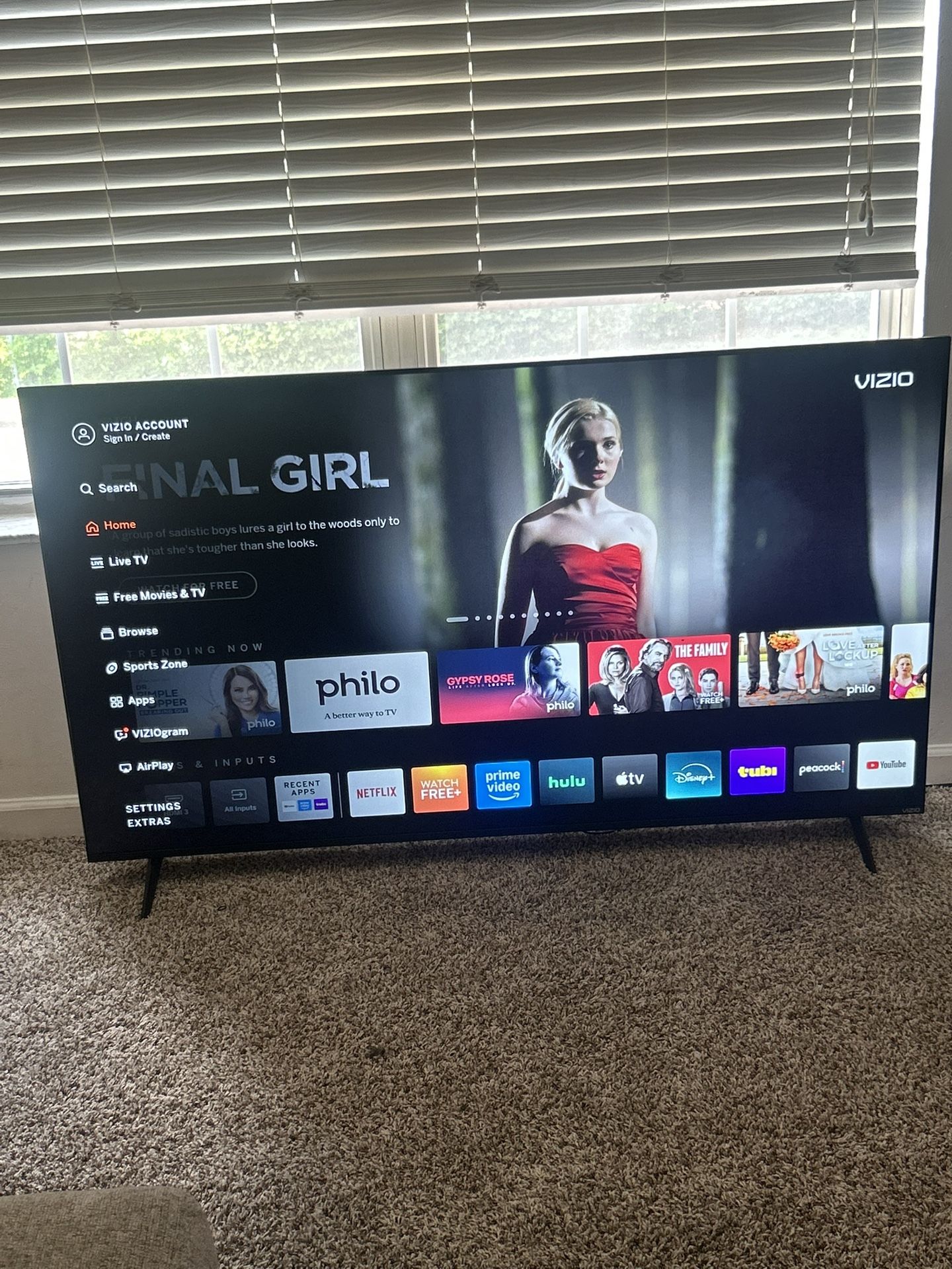 VIZIO 65 inch tv