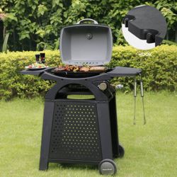Brand New Bbq