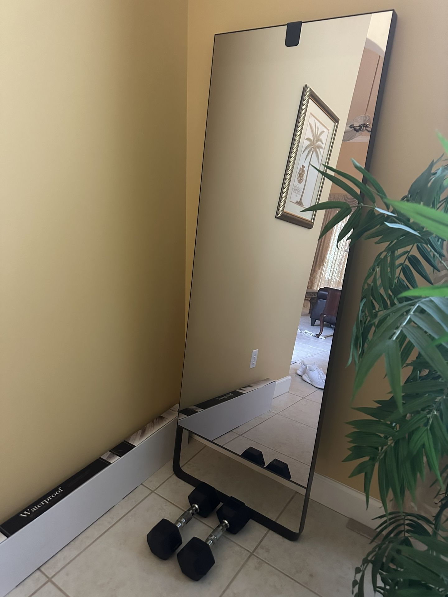 Lulu lemon Mirror