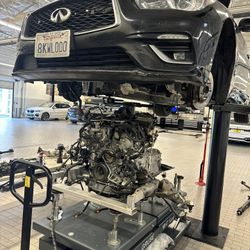 Automotive Specialist 