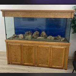 225 Reptile/Fish Tank 