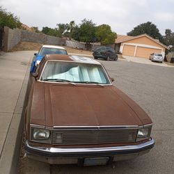 78 Nova