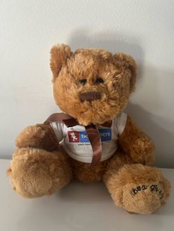 Rare Bear Givers Charity Collectible Teddy Bear Plush