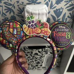 Disney Park Mickey Ears 