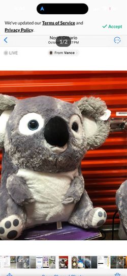 Big stuff animal have two need gone asap