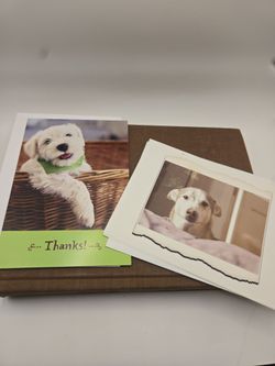 Dog Greeting Card Lot – 15 Cards –