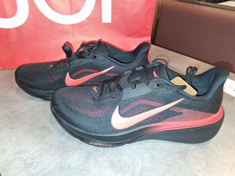 Nike  men's Pegasus  42s
