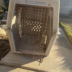 Dog Kennel