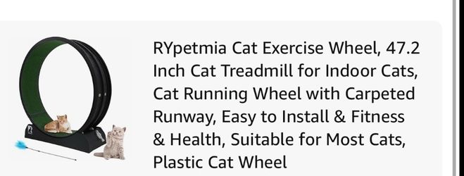 Cat treadmill