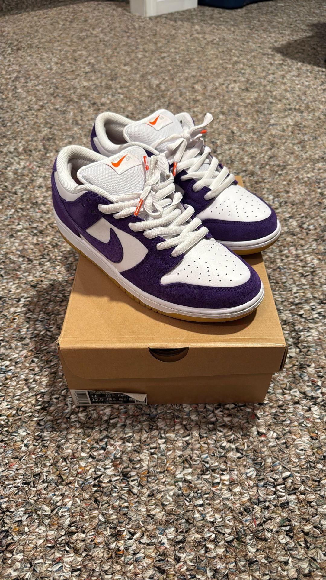 Barely Touched Nike SB Court Purple 11