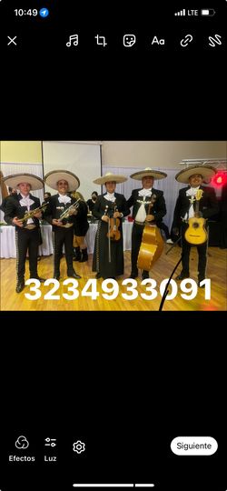 Mariachi los Gavilanes