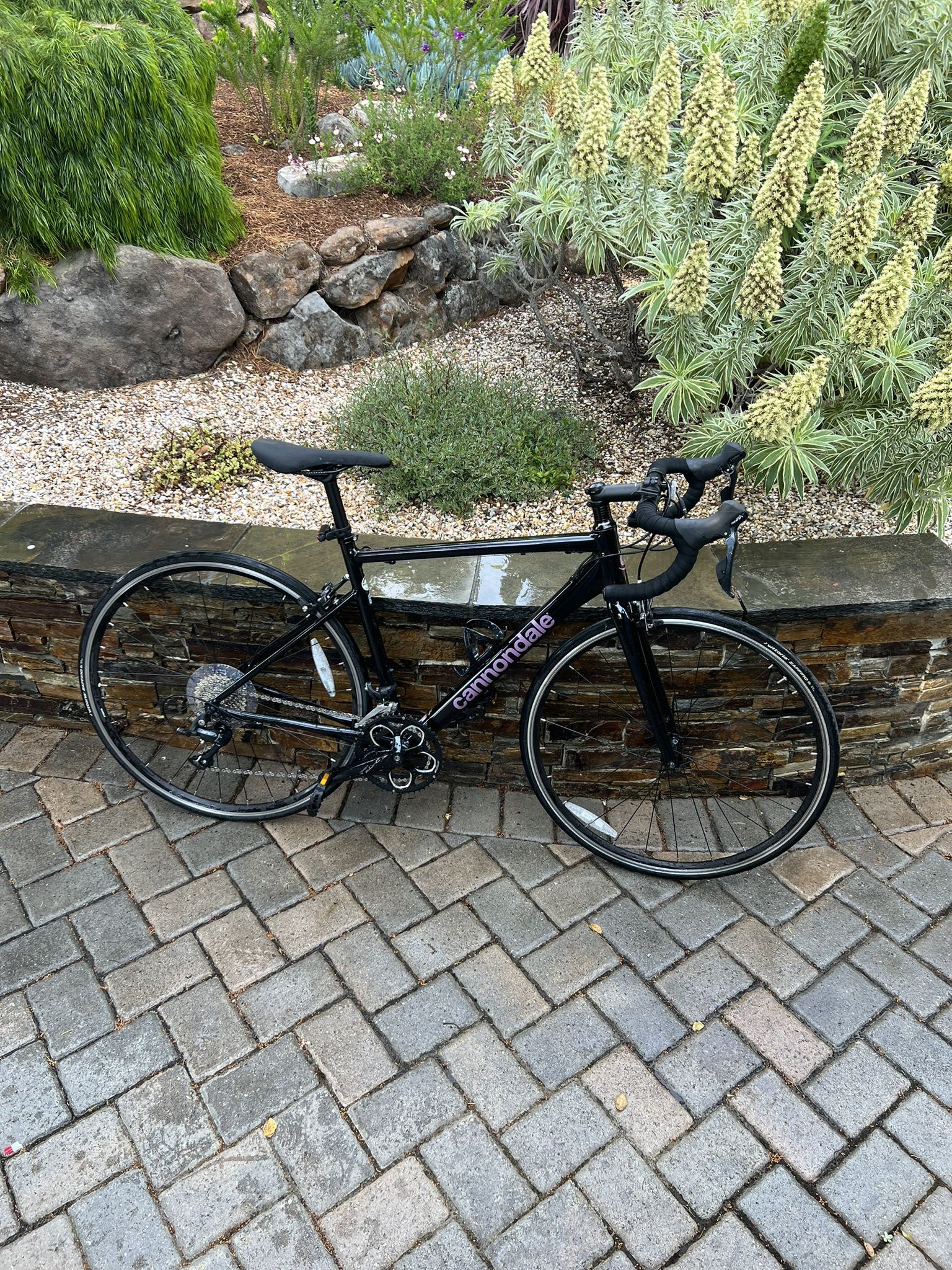 Cannondale Road bike