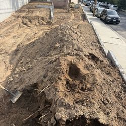 Free Clean Dirt 
