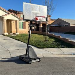 Splading Portable Basketball Court