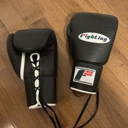 Fighting Boxing Gloves