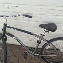 Giant Brand Bicycle, Moving Sale, Sells for $500 online