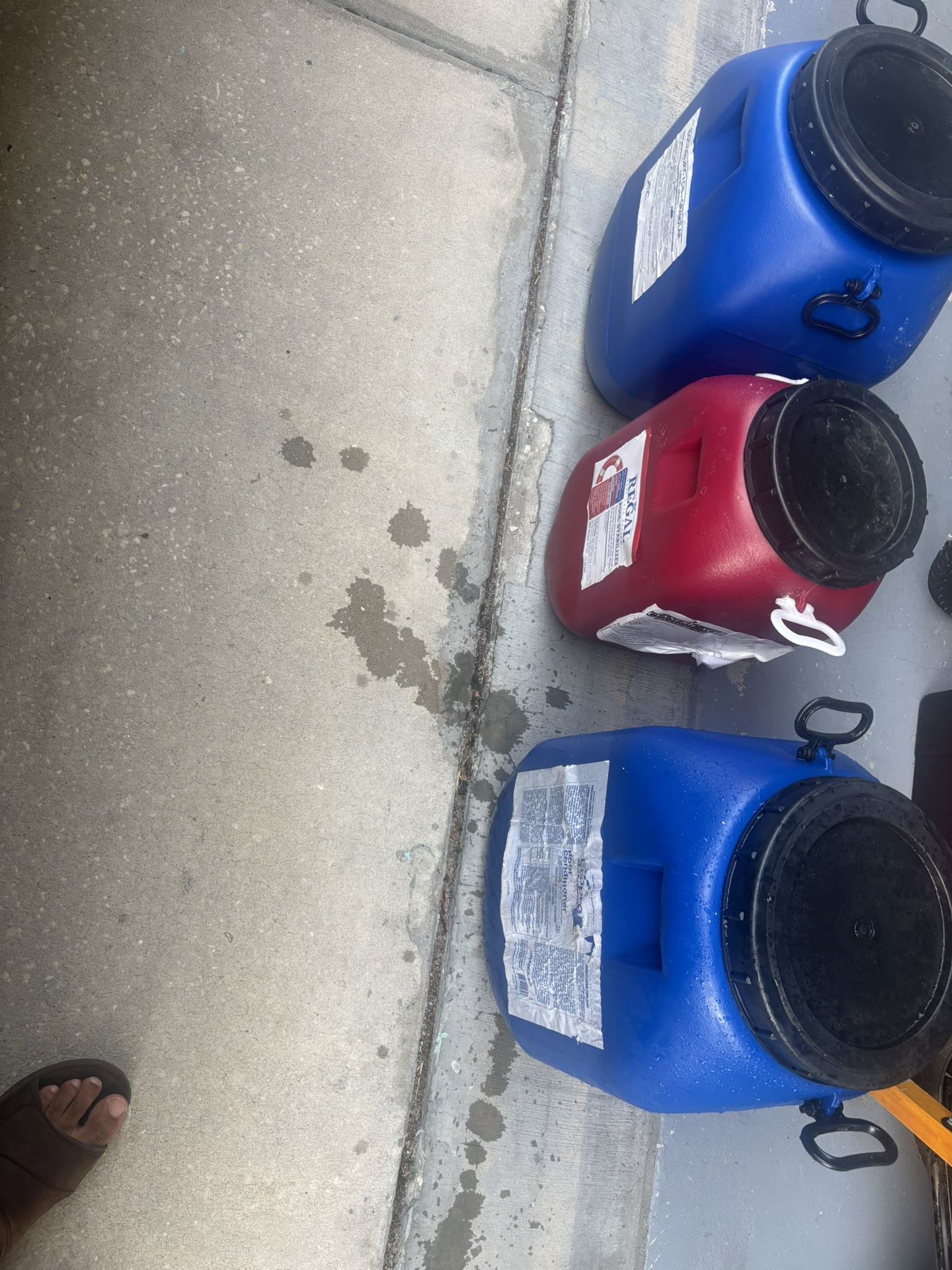 Storage Buckets / Bins