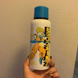 Steel Water Bottle