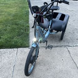 Pedigo Trike