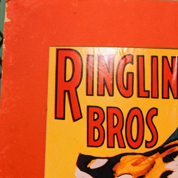 Vintage Ringling Brothers Barnum and Bailey Circus Poster Print Tiger Head